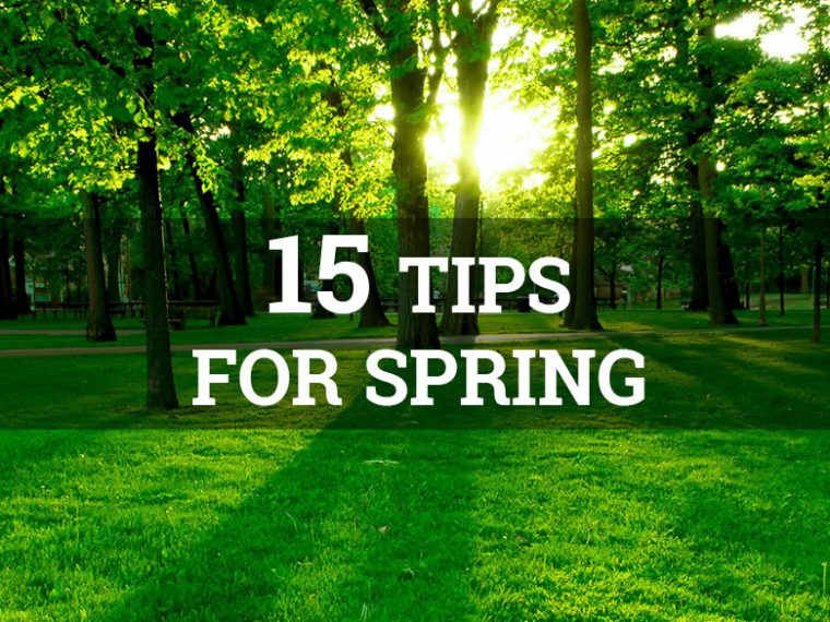 15 Tips for Mobile Home Spring Maintenance