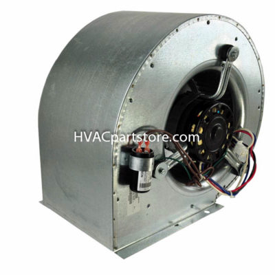 903866 CMF Blower Assembly
