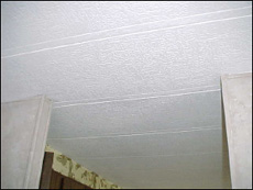Ceiling Panels Replacement Repair, How To Replace A Ceiling In Mobile Home