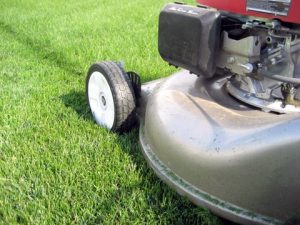 Lawn Care Tips