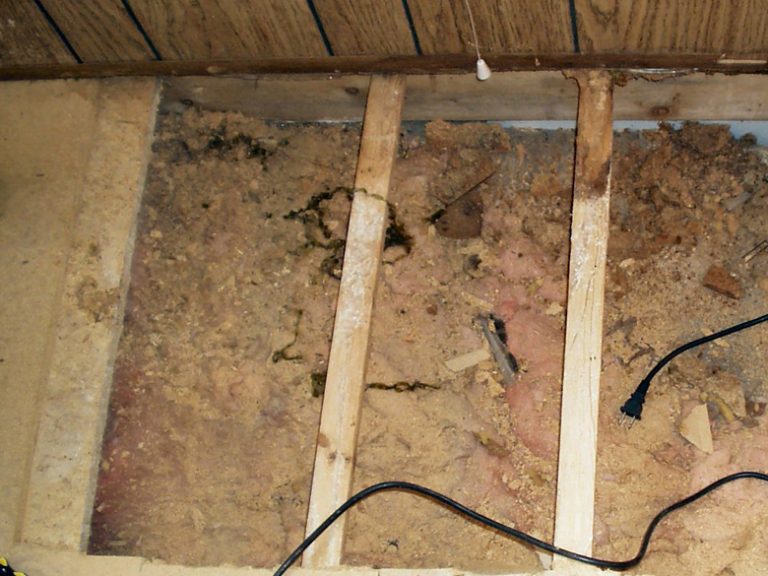 Repair Rotten Mobile Home Floor