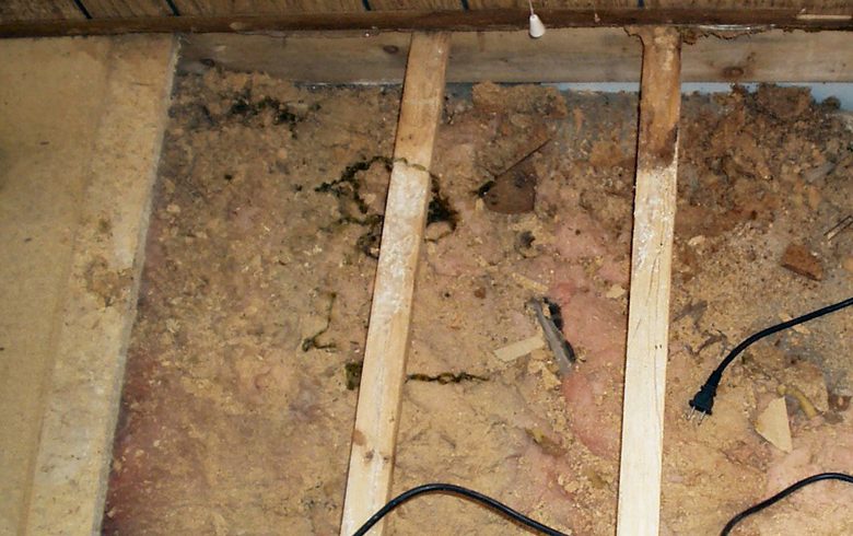 Repairing Rotten Floor In Your Mobile Home Mobile Home Repair