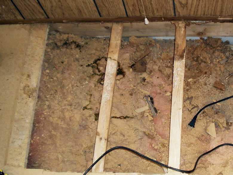 Repair Rotten Mobile Home Floor