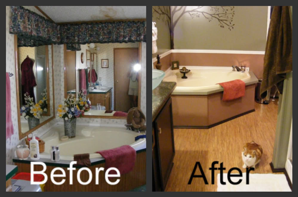 500 Budget Mobile Home Bathroom Remodel Repair - Mobile Home Bathroom Decorating Ideas